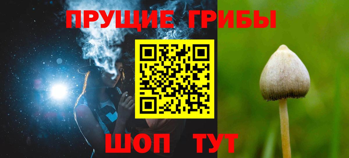 Галлюциногенные грибы мицелий Черемхово